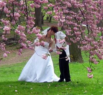 wedding in the park